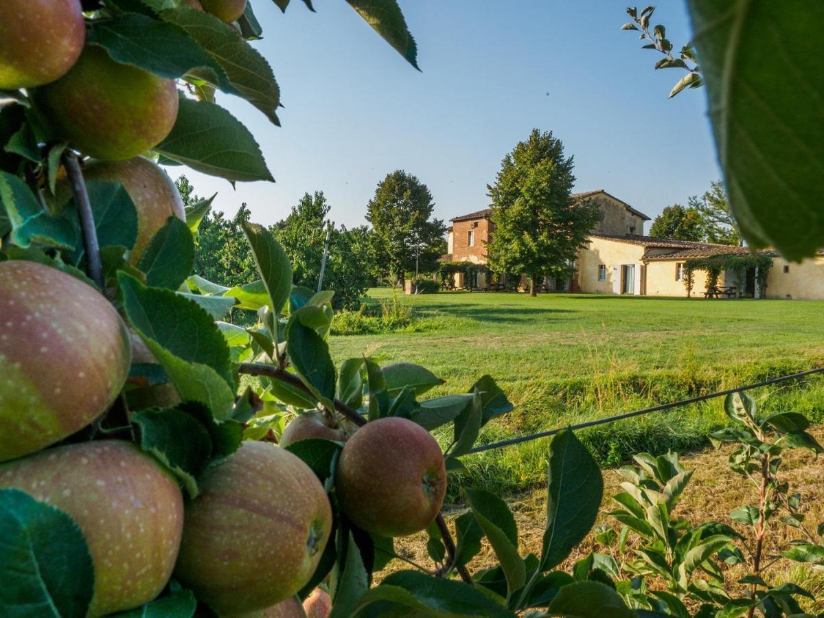 Foresteria Il Giardino Di Fontarronco Alberoro Exteriör bild