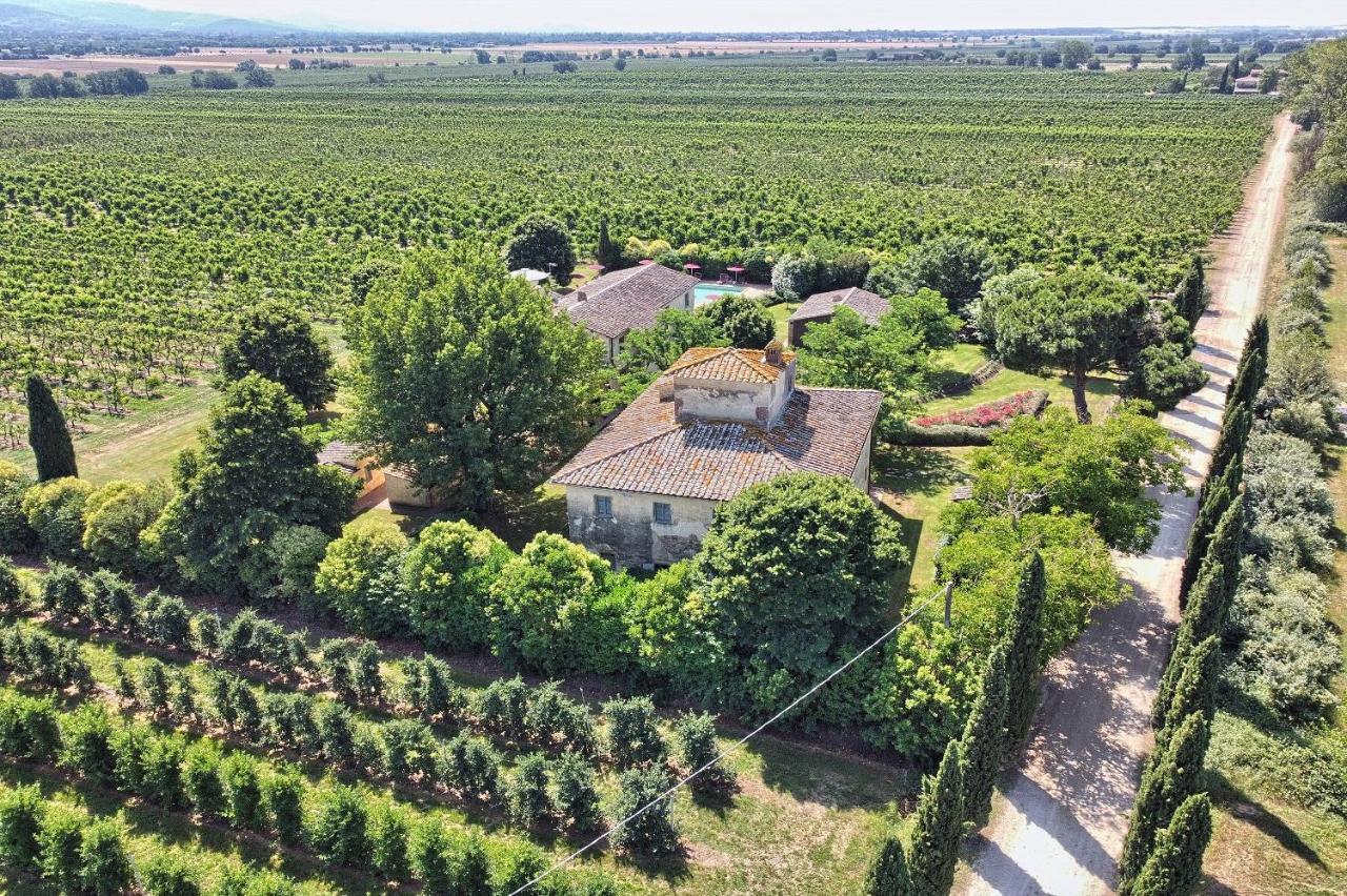 Foresteria Il Giardino Di Fontarronco Alberoro Exteriör bild