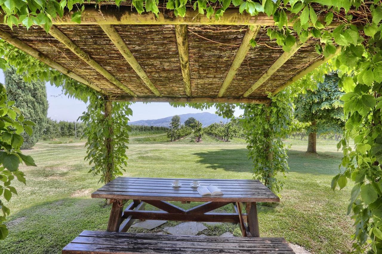 Foresteria Il Giardino Di Fontarronco Alberoro Exteriör bild